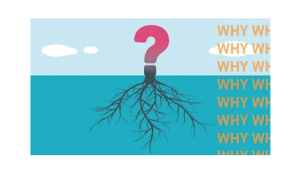 With Life on Dialysis, Figure out the Why and the How will get figured out by itself
