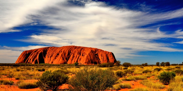 A Holiday Gift to the Planet from the Outback